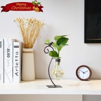 Marbrasse Desktop Glass Planter Hydroponics Vase Planter Bulb Vase With Holder For Home Decoration Modern Creative Bird Plant Terrarium Stand  Scindapsus Container (Bulb Vase)