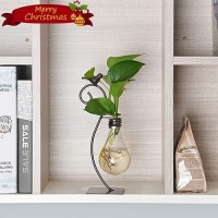 Marbrasse Desktop Glass Planter Hydroponics Vase Planter Bulb Vase With Holder For Home Decoration Modern Creative Bird Plant Terrarium Stand  Scindapsus Container (Bulb Vase)