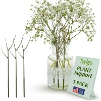 Twigs Ga Twig Plant Stakes For Indoor Plants Plant Support Stakes Plant Accessories Plant Trellis Outdoor Plant Support Fo