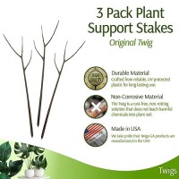 Twigs Ga - Twig Plant Stakes For Indoor Plants  Plant Support Stakes  Plant Accessories  Plant Trellis Outdoor  Plant Support For Potted Plants Indoor - Moonstone  3 Pack  22