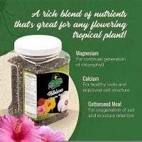 Nelson Plant Food Nutristar Hibiscus Fertilizer Outdoor And Indoor Plant Food Tropical Hibiscus Fertilizer For All Floweri