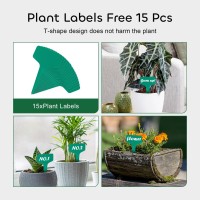 Growneer 15 Pack Of 6 8 10 Inches Clear Plant Saucers Flower Pot Trays With 15 Pcs Plant Labels Plastic Plant Drip Trays For