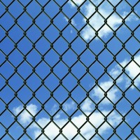 vidaXL Chain Link Fence with Posts Steel 591 x 5906 Green 140355