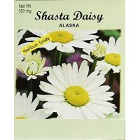 Set Of 50 Shasta Daisy Seed Packets Flower Seeds In Bulk 50 Individual Packets 50 Shasta Daisy