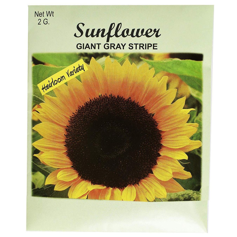 Set Of 50 Flower Seed Packets Flower Seeds In Bulk 50 Sunflower