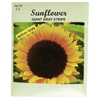 Set Of 50 Flower Seed Packets Flower Seeds In Bulk 50 Sunflower