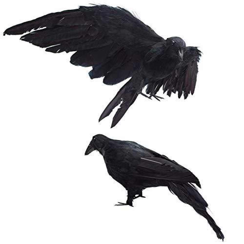 2Pack Realistic Crows Lifesize Extra Large Handmade Black Feathered Crow For Halloween Decorations Birds L 13 Inch12 Inch