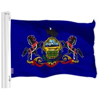 G128 Pennsylvania Pa State Flag 3X5 Ft Liteweave Pro Series Printed 150D Polyester Indooroutdoor Vibrant Colors Brass G