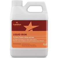 Lawnstar Chelated Liquid Iron 32 Oz For Plants Multipurpose Suitable For Lawn Flowers Shrubs Trees Treats Iron Defici