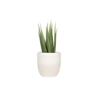 Creative Coop Large Matte White Embossed Stoneware Planter