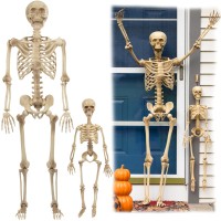 Scs Direct Posable Life Size Human Skeleton Family Set Of 2 Adult 5 4 Children 2 Halloween Prop Indoor Outdoor Decor