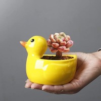 Gemseek Cute Duck Succulent Planter Pot With Drainage Tray Small Yellow Ceramic Cactus Flower Container Animal Shaped Indoor A