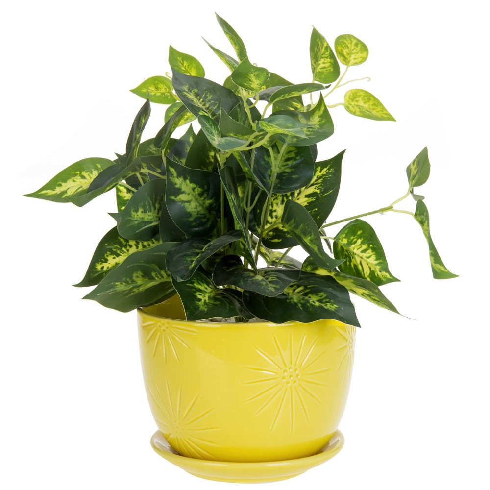 Mygift 7 Inch Yellow Ceramic Indoor Plant Pot With Drainage Hole And Attached Saucer Decorative Sunburst Design Round Planter C