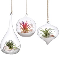 Mkono 3 Pack Glass Hanging Planter Air Fern Holder Terrarium Plants Hanger Vase Home Christmas Decoration Gifts For Plant Lover