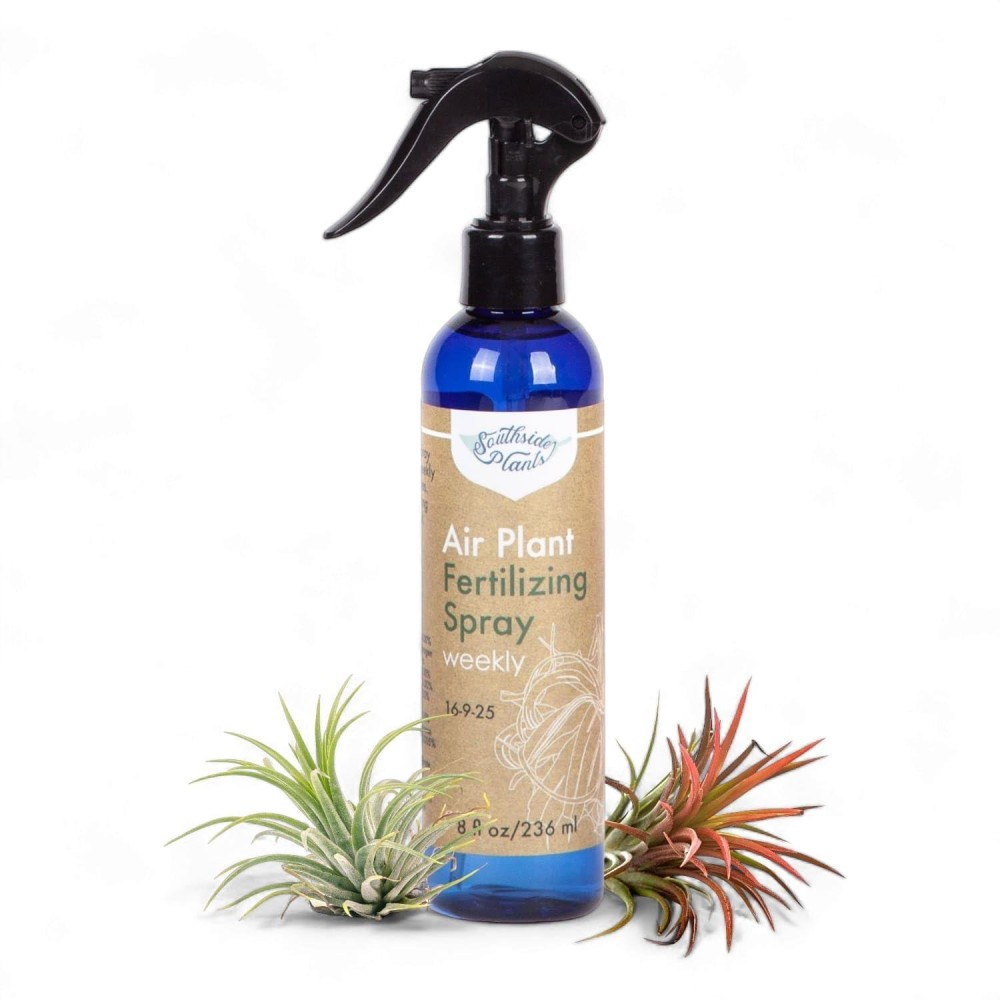 Air Plant Fertilizing Spray By Southside Plants Fertilizer Mist For Houseplants Weekly Plant Food Gentle Mist Formula For M