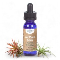 Air Plant Fertilizing Concentrated Refill By Southside Plants Fertilizer Mist For Houseplants Weekly Plant Food Gentle Mist