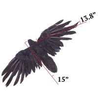 2-Pack Realistic Crows Lifesize Extra Large Handmade Black Feathered Crow For Halloween Decorations Birds  Xl (15 Inch+15 Inch)