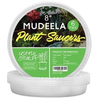 Mudeela 6 Pack Of 8 Inch Plant Saucer Durable Plastic Plant Trays For Indoors Clear Plastic Flower Plant Pot Saucer Made Of T