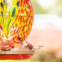 Muse Garden Hummingbird Feeders For Outdoors Hanging Blown Glass Hummingbird Feeder Hummingbird Gifts For Mom Garden Backyard