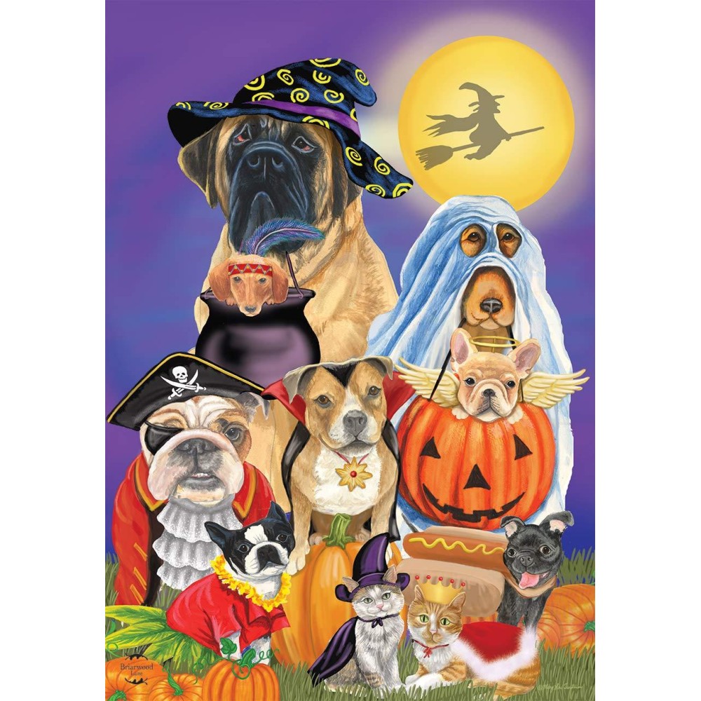 Trick Or Treat Dogs Halloween Garden Flag Cats Jack Olantern 125 X 18