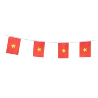 Vietnam Flags Vietnamese Small String Flag Banner Mini National Country World Flags Pennant Banners For Party Events Classroom G