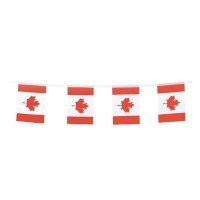 Canada Flags Canadian Small String Flag Banner Mini National Country World Flags Pennant Banners For Party Events Classroom Gard