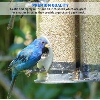 Easygo Product White Millet Wild Bird Food 50 Lb