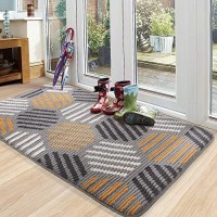 Color G Indoor Door Mat Super Absorbent Rugs For Entryway Front Door Mat Non Slip Washable Resist Dirt Entry Rug 24X36