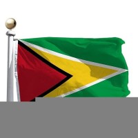 Rhungift Guyana Flag 3X5 Ft Canvas Header And Double Stitched Brass Grommets For Easy Display Guyanese Flags 3 X 5 Banner