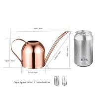 Imeea Small Watering Can For Indoor Plants Stainless Steel Indoor Watering Can With Long Spout  15Oz/450Ml