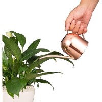 Imeea Small Watering Can For Indoor Plants Stainless Steel Indoor Watering Can With Long Spout  15Oz/450Ml