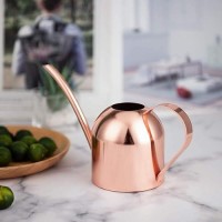 Imeea Small Watering Can For Indoor Plants Stainless Steel Indoor Watering Can With Long Spout  15Oz/450Ml