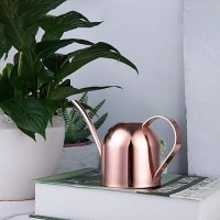 Imeea Small Watering Can For Indoor Plants Stainless Steel Indoor Watering Can With Long Spout  15Oz/450Ml