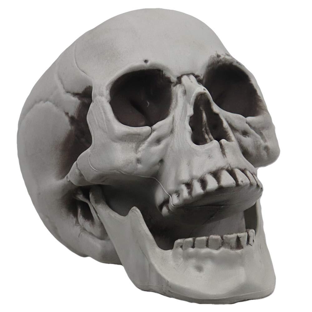 Mokry Party Life Size Skeleton Skull For Halloween Decor Graveyard Outdoor White