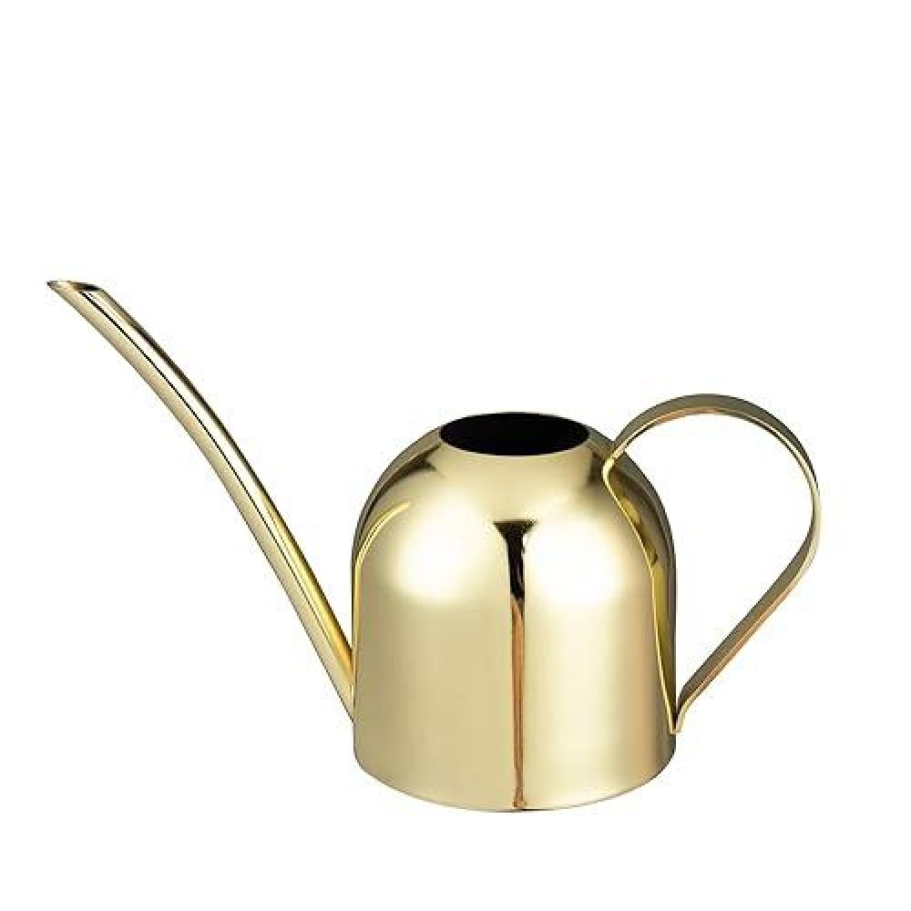 Imeea Gold Watering Can House Watering Can For Indoor Plants Orchid Bonsai Desk Office Stainless Steel Watering Can With Long Spout  15Oz/450Ml