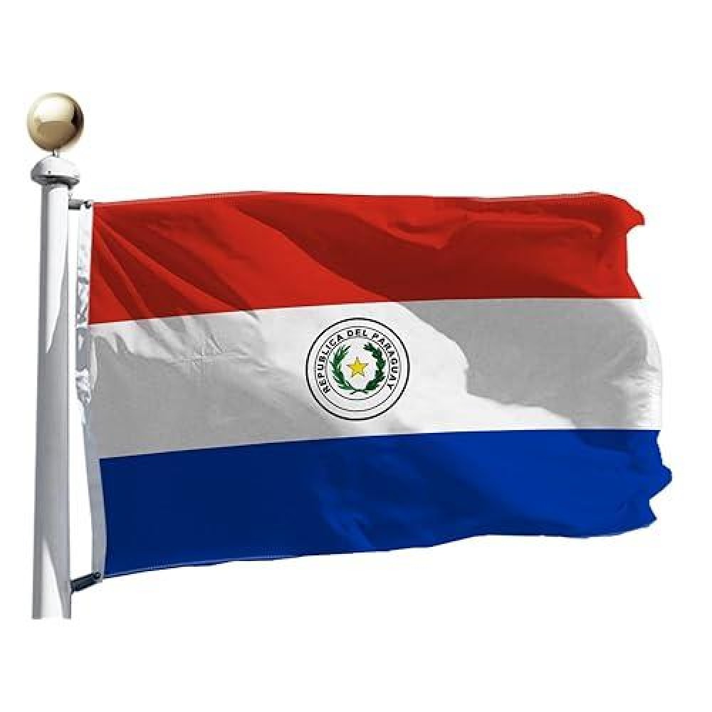 Paraguay Flag 3X5 Ft Outdoor Large Moderateoutdoor Both Sides Heavy Duty100D Polyester Canvas Header And Double Stitched Bra