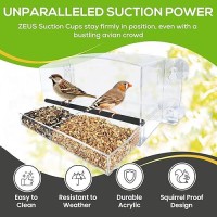 Nature Gear Window Bird Feeder  Acrylic Bird House With Sliding Tray  Clear Bird Feeders With Strong Suction Cups For Windows  Weather Resistant & Easy To Clean Bird Houses  Dome