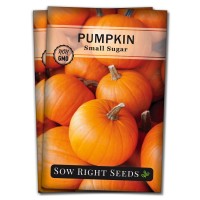 Sow Right Seeds Small Sugar Pumpkin Seed For Planting Nongmo Heirloom Packet With Instructions To Plant A Home Vegetable Ga