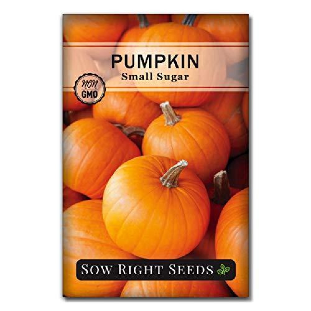 Sow Right Seeds Small Sugar Pumpkin Seed For Planting Nongmo Heirloom Packet With Instructions To Plant A Home Vegetable Ga