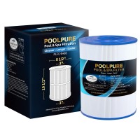 Poolpure C8465 Spa Filter Replaces Watkins 31114 Pleatco Pwk65 Filbur Fc3960 71827 71828 Watkins 65 Sqft Tiger River Spa