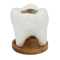 Gemseek Cute Tooth Succulent Planter Pot With Drainage Tray White Ceramic Cactus Flower Container Small Indoor Air Plant Holde