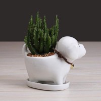 Gemseek Cute Dog Succulent Planter Pot With Drainage Tray Small White Ceramic Flower Cactus Container Animal Shaped Indoor Air