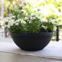 Bloem Terra Plant Bowl Planter 14 Black