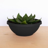 Bloem Terra Plant Bowl Planter 14 Black