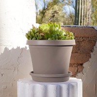 Bloem Terra Pot Round Drain Saucer 14 Pebble Stone Matte Finish Durable Resin Ribbed Bottom For Indoor And Outdoor Use