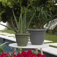 Bloem Ap16908 Ariana Self Watering Planter 16