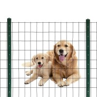 Black Pvc Coated Welded Wire Mesh Garden Economy Fence 36 Inch X 50 Foot3 Inch X 2 Inch 16Ga