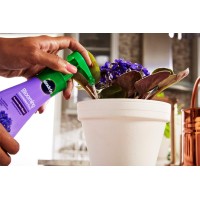 Miraclegro Blooming Houseplant Food 8 Oz Plant Food Feeds All Flowering Houseplants Instantly Including African Violets 2