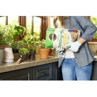 Miraclegro Indoor Potting Mix 6 Qt And Indoor Plant Food 8 Oz Bundle For Growing And Fertilizing Houseplants