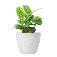 La Jolie Muse Indoor Planters Flower Pots 94 Inch Planter Pot Outdoor Plant Pots White Honeycomb